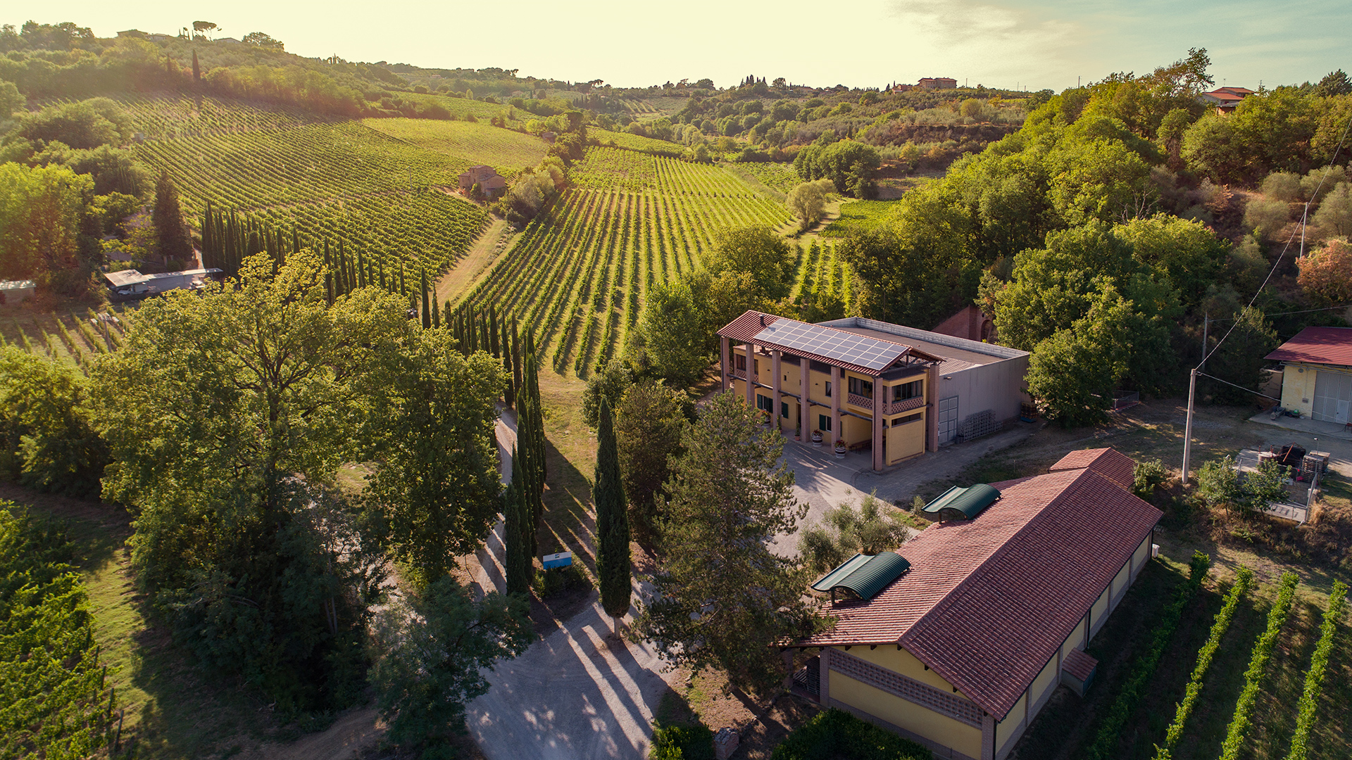 Azienda Valdipiatta a Montepulciano